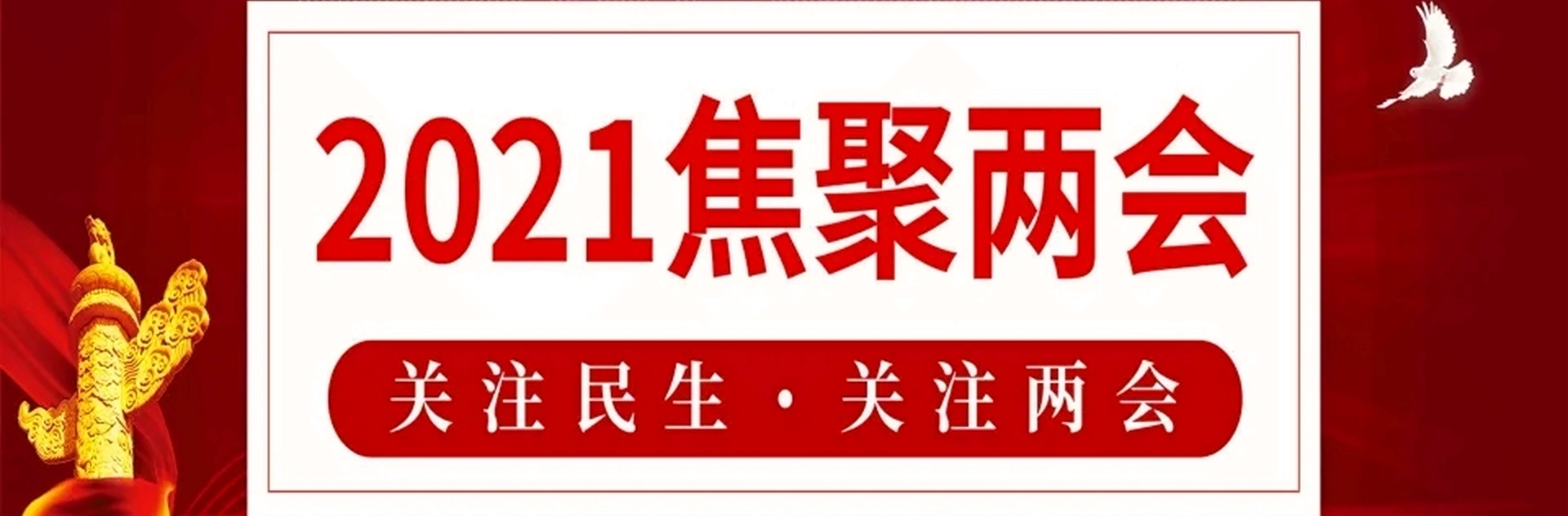 2021全國(guó)兩會(huì)