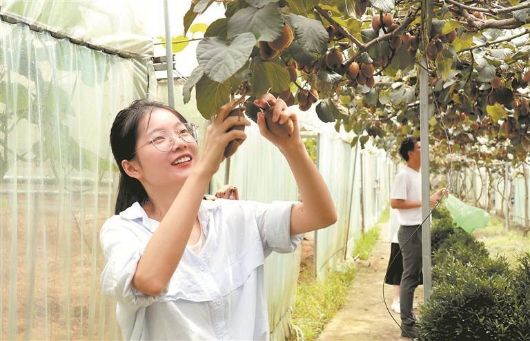 新品种 喜丰收