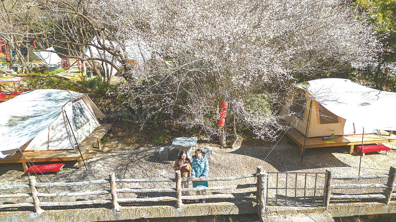 梅花吐蕊