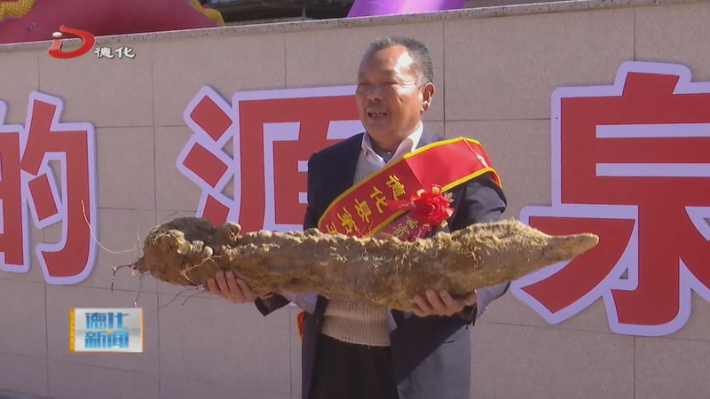 第五屆淮山豐收節(jié)：“淮山王”重16.54公斤 長(zhǎng)1.28米
