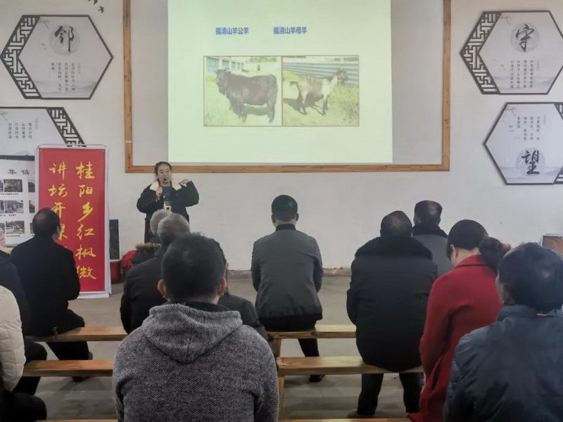 “書香桂陽(yáng)”進(jìn)“鄰里” 走“新”更走“心”