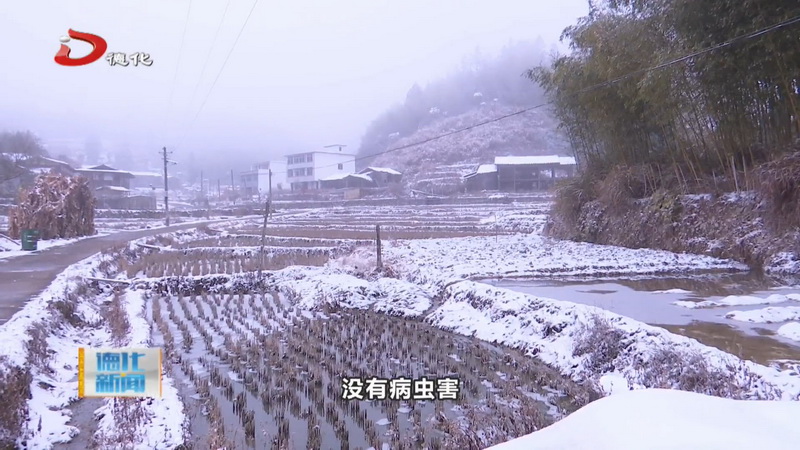 桂陽(yáng)鄉(xiāng)冬日氛圍感拉滿  村民游客沉浸其中