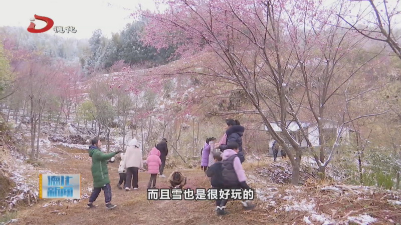 大銘鄉(xiāng)櫻花谷：堆云疊雪 枝頭爛漫