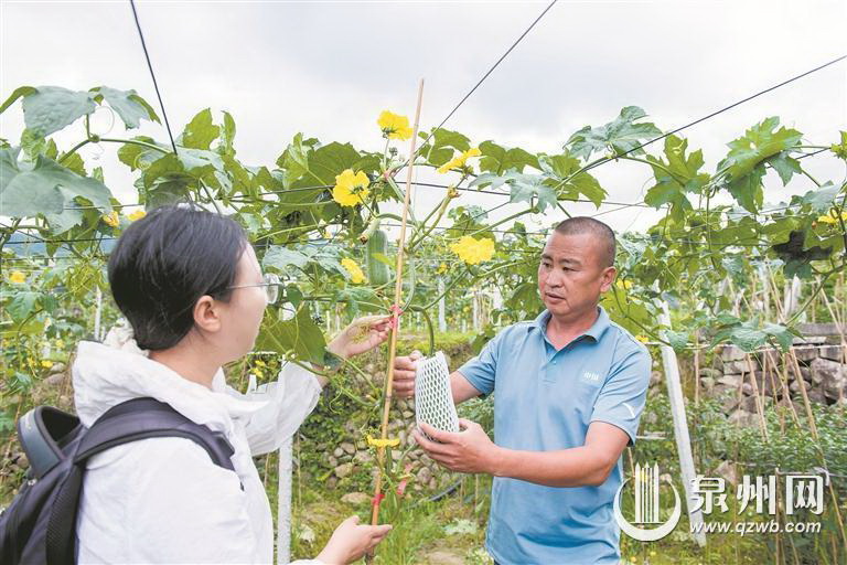 发展“丝瓜经济” 促进乡村振兴