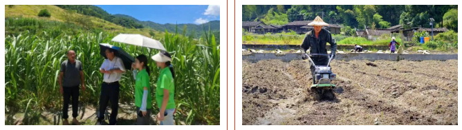 63.jpg