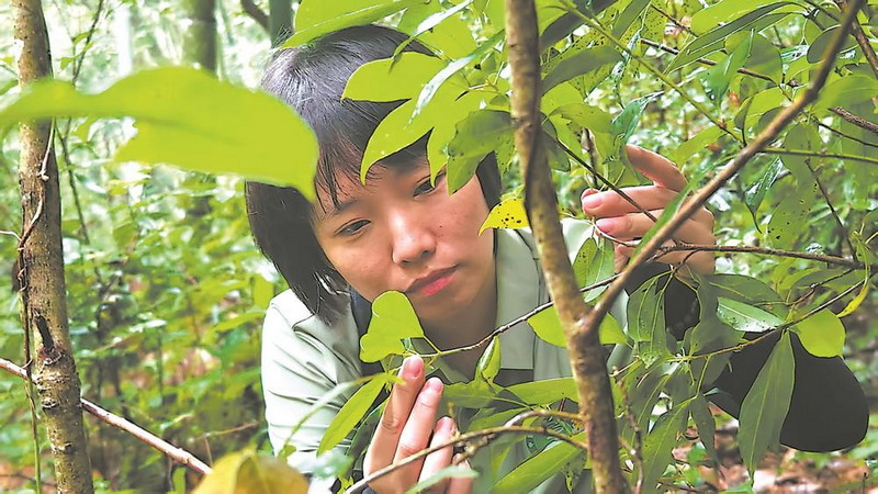 当一只蝴蝶在“闽中屋脊”振翅