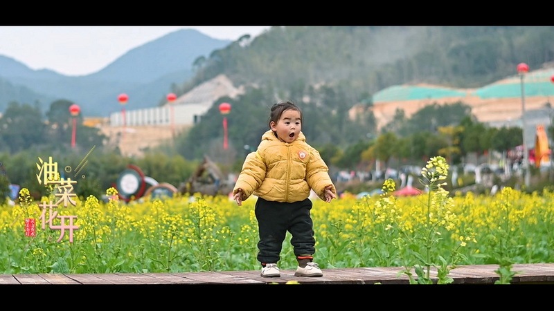靈山秀水 醉美南埕：油菜花開(kāi)