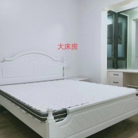 金龍中心城  50㎡ 2500元/月