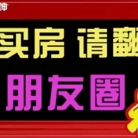 紅星時(shí)代廣場  44㎡ 43萬元