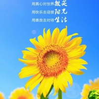 美伦商品房[**]四房二厅，130平米 送一房 南北通透，日照充足！包过户费仅148万