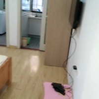 群盛翰林府邸  40㎡ 1000元/月