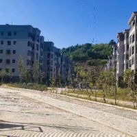 首付5萬 土板彭村，?樓梯房，50平26萬 ?