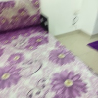 詩泰街  30㎡ 500元/月