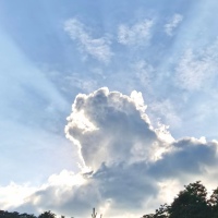 金交頤園  113㎡ 107萬元