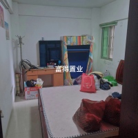 龍東小區(qū) 精裝小戶型3房 85㎡ 71萬(wàn)元 證全