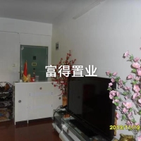 二實小學區(qū)房:富東街  113㎡ 精裝修 好樓層 證全 105萬