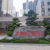 碧桂園毛坯房100平方，每平方9800，南北通透，陽光充足，過戶便宜。一位小車位另售15萬。