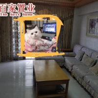 鹏祥花园，3室2厅2卫2阳，99.39平，86.0万，中楼层，，精装，性价比高，首付20