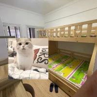 群盛翰林府邸  55㎡ 1200元/月