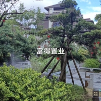 金交頤園 別墅  276㎡毛坯房  360萬(wàn)