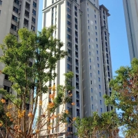 陶源新居，毛坯3房2廳2衛(wèi)，證件齊全，可馬上過戶，只售70萬，電話15860925055