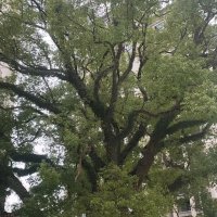 美的云璽臺(tái)  55㎡ 68.8萬元，首付20萬即可裝修