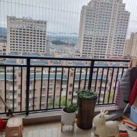 瓷都陽(yáng)光名城  79㎡ 95萬(wàn)元
