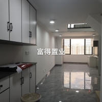 金龍中心城  54㎡ 使用面積108平 精裝修二房 好樓層 僅售105萬