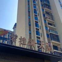 詩墩碧桂園天璽  105㎡ 118萬元-首付30萬