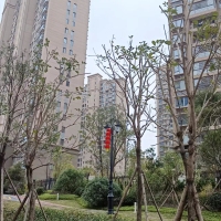美倫山景疊苑  130㎡另贈送一房 毛坯四房148萬