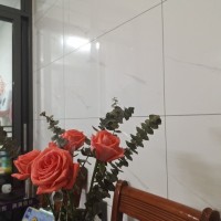詩(shī)墩單間出租260元/月