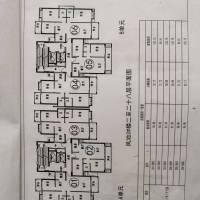 鳳池花苑  91㎡ 含層次差110多萬元
