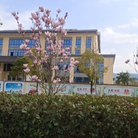 瓷都國際公館  83㎡ 價格面議