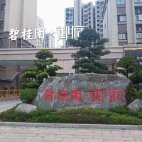 碧桂園  115平方  毛坯  三房?jī)蓮d  好樓層 誠(chéng)意出售  一平方9600