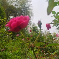 德备小区  126㎡ 单价8500左右万元