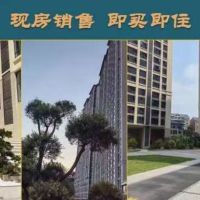 海絲廣場 復式樓  120㎡ 使用面積240平 毛坯房好樓層 僅售 70幾萬