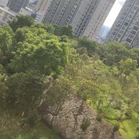 鳳池花苑  127㎡ 156萬(wàn)元，證在手，首付40萬(wàn)