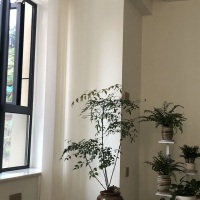 塔雁小區(qū)  65㎡ 750元/月
