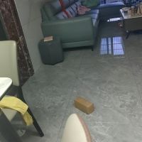 嘉裕正規(guī)三房  品牌家具家電 床是五千多的  中高樓層  拎包入住