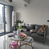 金龍中心，56平，3房2廳，精裝，95萬(wàn)，看房：13506919091