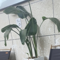 德備小區(qū)  72㎡ 1500元/月