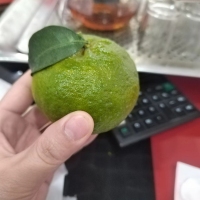 百德畔山1號(hào)  33㎡   高裝，證全，39萬元