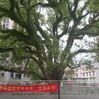 德備小區(qū)90平80萬(wàn)，好樓層。