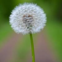 裕正山水花園  40㎡ 價(jià)格面議