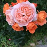 鵬祥花園 3房2廳 107平方一平方75萬(wàn)毛坯房 證全 看房:1350
