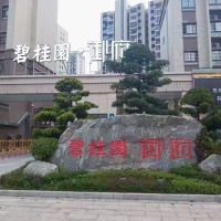 進城大道碧桂園，117平毛坯房，證滿兩年，過戶便宜。一平8500元。
