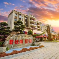 碧桂園御府  超低價出售，117㎡ 95萬元