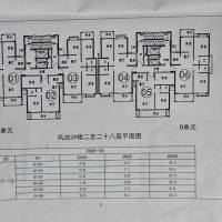 鳳池花苑  91平，126㎡平，128平，多套可選