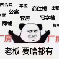 金龍中心城  50 4㎡  精裝3房   證全   120萬元  看房：13506919091