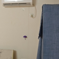 東埔聚興小區(qū)  52㎡